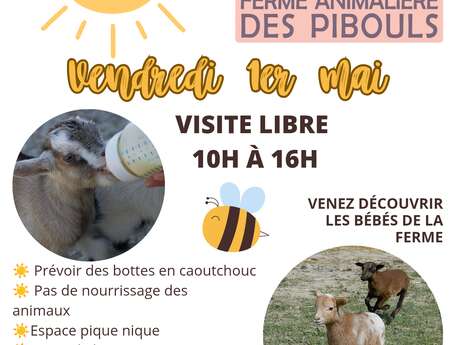 Visita autoguiada a la granja de animales de Pibouls.