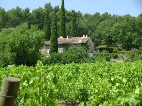 Domaine Bois des Demoiselles