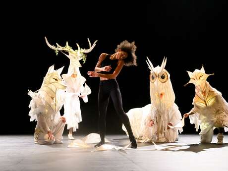 Le Carnaval des animaux - cie Julio Arozarena