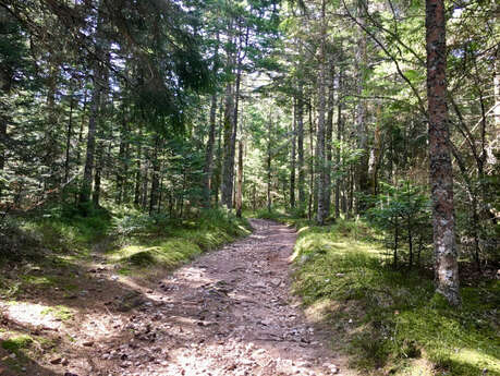 Trail-Strecke vom Col de la Loge