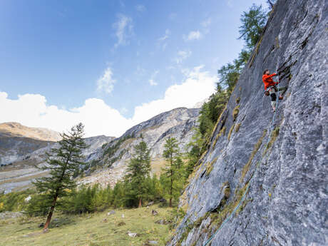 Climbing lessons