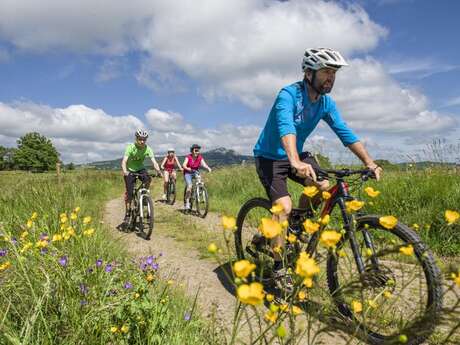 10 - Vers le Suc du Mounier