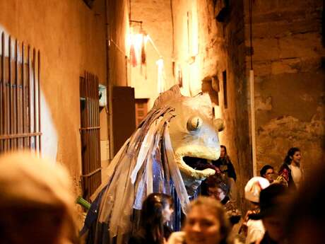 Pélissanne carnival : night charivari for families