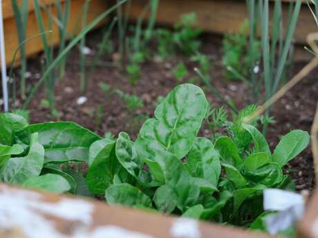 Ateliers en pagaille : Ecodéco