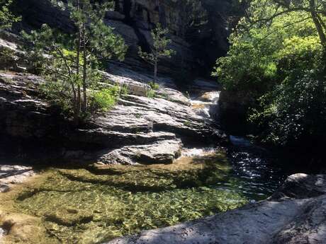 Randonnée aux Gorges du Riou et observation des chamois - Autres Versants