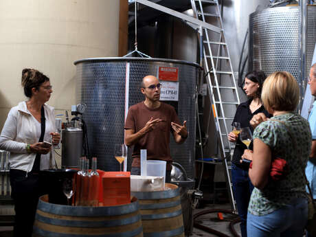 Atelier vinification chez Pierre Amadieu