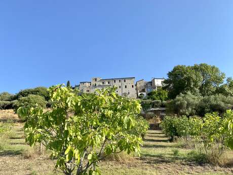JEP 2025 :  La Maison de la Figue
