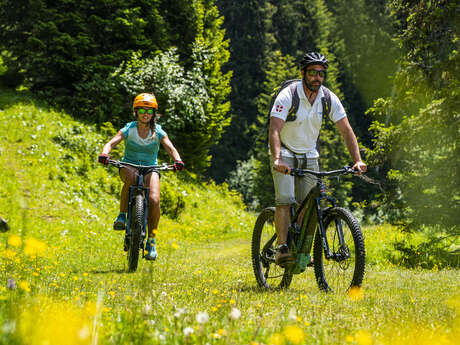 Encadrement VTT & hébergement