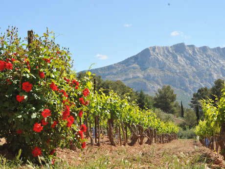 Zoom sur AOC Palette - Cuvée Quintessence  au Château Henri Bonnaud
