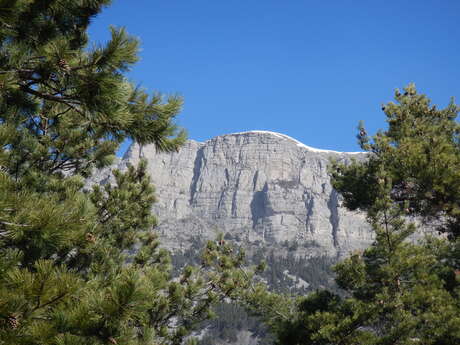 Tour de la roche des Brigands