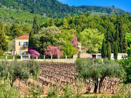 Château des Chaberts