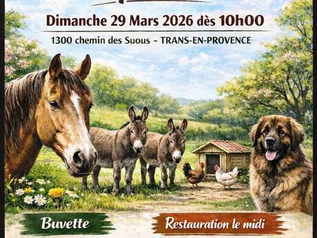 Association Equi vivre - visite et découverte d'équivivre