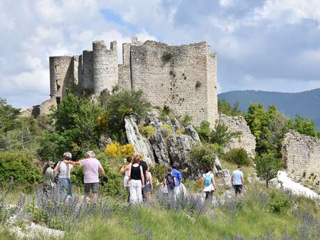 Château de Pontevès