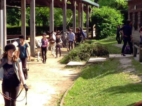 Poney-Club de l'Île