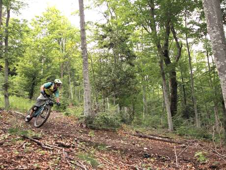 VTT n°4 - En duel avec Lure