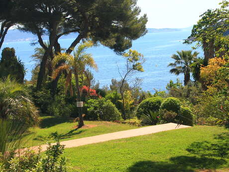 Découverte des Calanques
