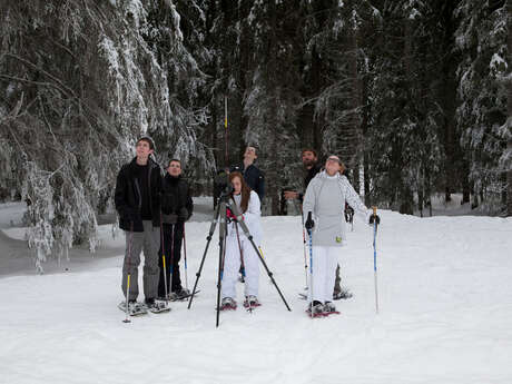 Randonnée accompagnée en raquettes : Observation de la faune en milieu forestier