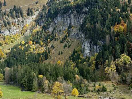 Col des Annes depuis Le Reposoir - Randonnée