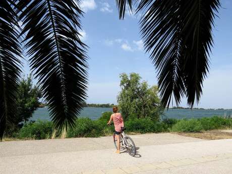SALIN-DE-GIRAUD - PORT-SAINT-LOUIS - Sur les rives du Rhône à vélo