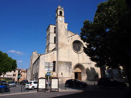 Cathédrale Notre-Dame du Bourguet