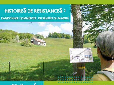 Stories of Resistance: commented hike on the Maquis trail on the Plateau de Retord