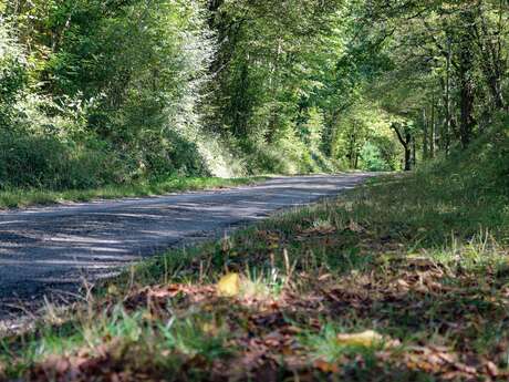 Rundweg zum Etang des Vavres in St André de Corcy