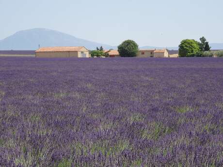 Umweltkonferenzen in La Londe les Maures