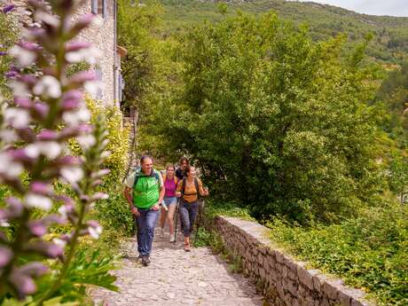 Festival „Ventoux Saveur“ – Wanderungen und kulinarische Genüsse am Fuße des Ventoux