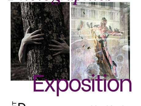 Marion Serrus & Corinne Namblard - Photographies