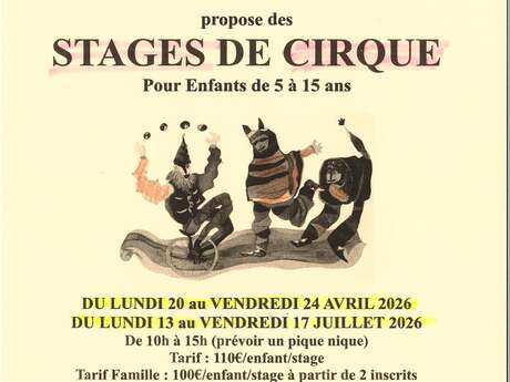 Stages de cirque