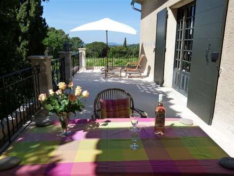 Les Vignes - Domaine de Casteuse