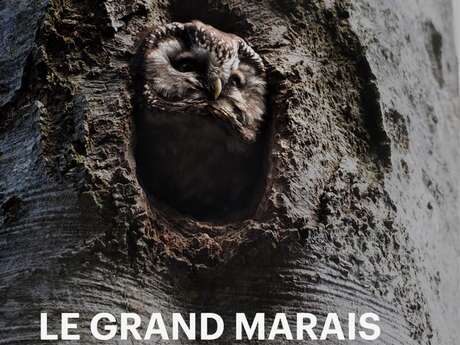 Projection du film "Le Grand Marais"