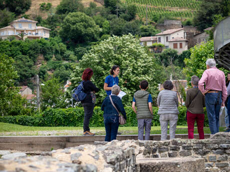 Guided tour: mosaics - stone images