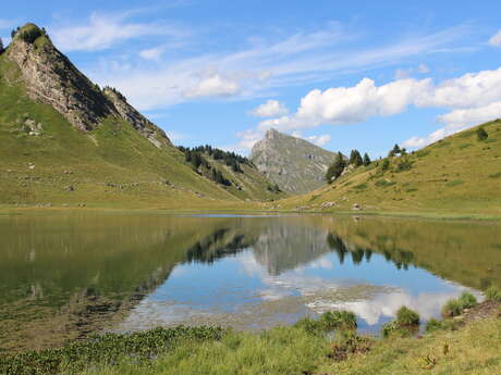 Itinéraire pédestre : Le Lac de Roy