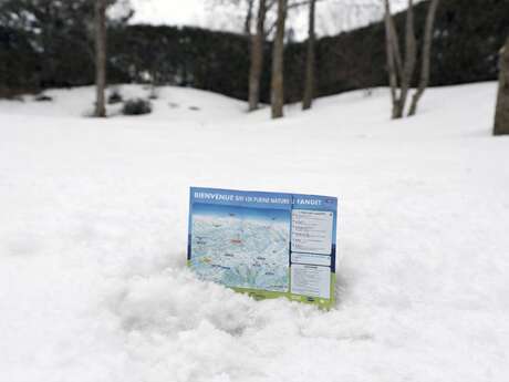 Animation Carte aux trésors des animaux