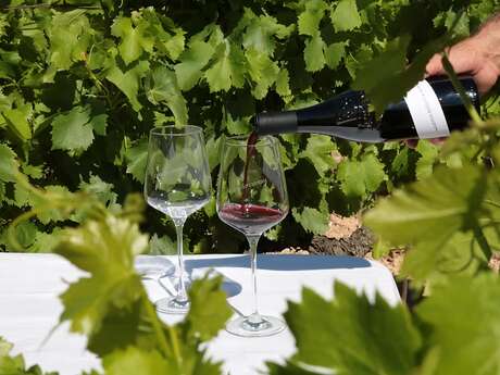 Pique-nique au Clos de Caveau