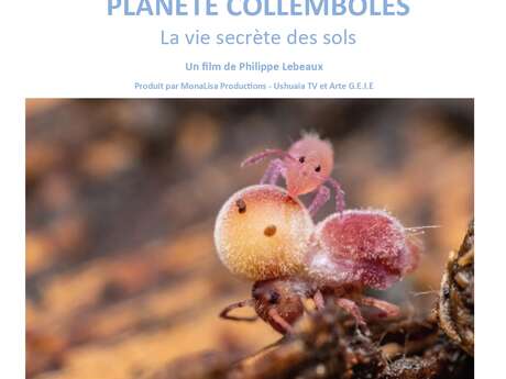 Fête du sol vivant -Ciné échange :  Planète collemboles