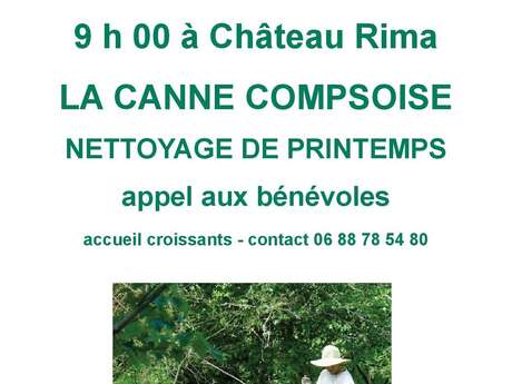 Nettoyage de Printemps