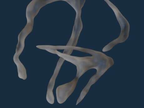 Moteur de recherhe 4 : Flesh to flesh