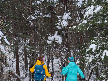 Le bois du Villar par le Lauzin et Clot des Prés