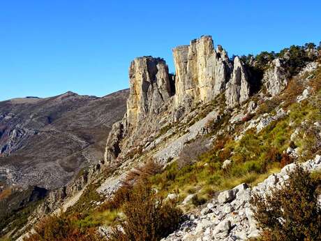 Cadières de Brandis