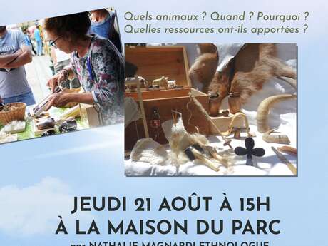Atelier animé : pastoralisme et domestication