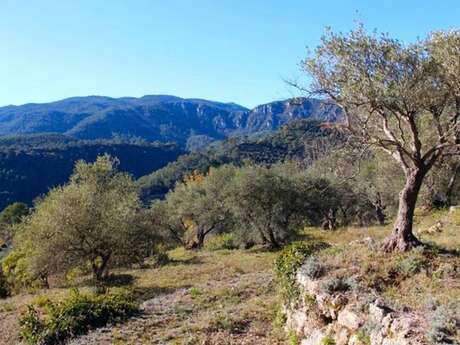 BELGENTIER - Barre de Cuers