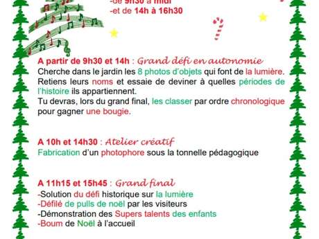 Christmas in the Forever garden