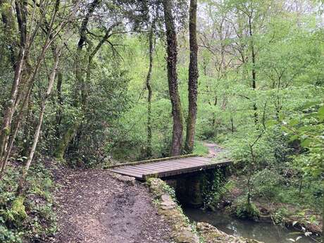 La Brague - De Valbonne à Biot