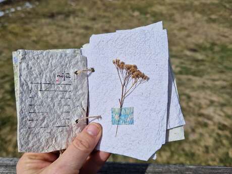 Les Ateliers des Babets : ateliers d'écriture en forêt