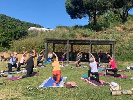Yoga under the eucalyptus trees + brunch