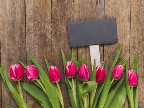 Des tulipes pour les enfants