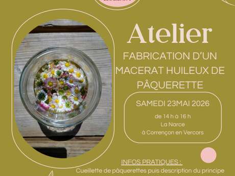 Atelier fabrication d'un macérat huileux de pâquerette