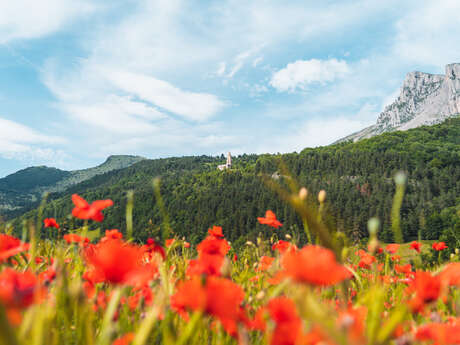 Das Festival Musique en Dévoluy feiert sein 40-jähriges Bestehen